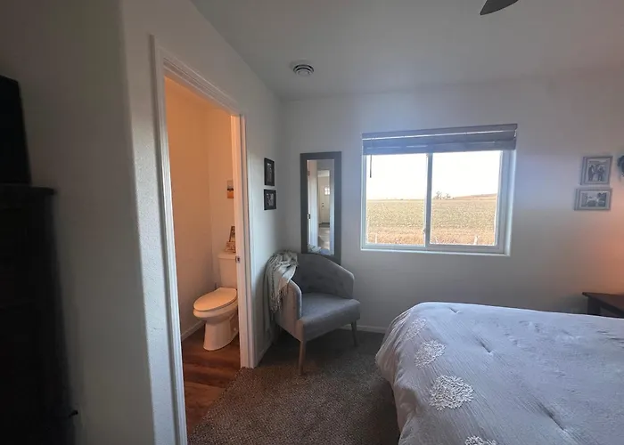 Pet-friendly Extended Welcome Holiday home *